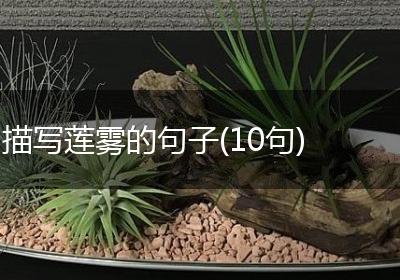 描写莲雾的句子(10句)