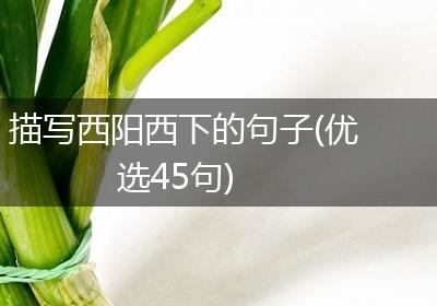 描写西阳西下的句子(优选45句)