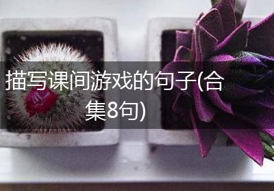 描写课间游戏的句子(合集8句)
