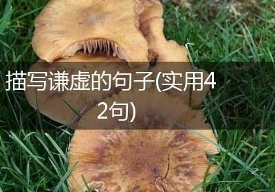 描写谦虚的句子(实用42句)