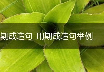 期成造句_用期成造句举例