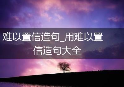 难以置信造句_用难以置信造句大全