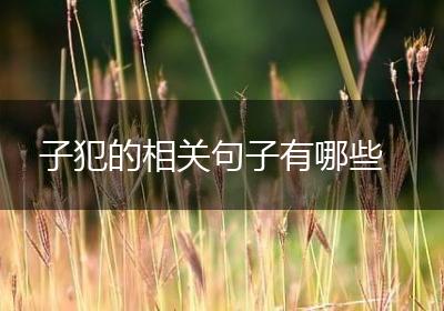 子犯的相关句子有哪些