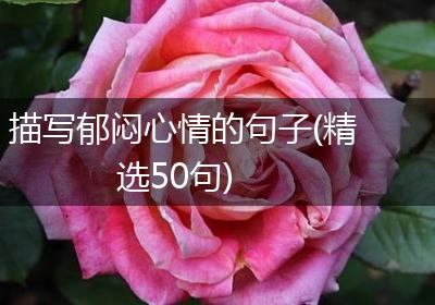 描写郁闷心情的句子(精选50句)