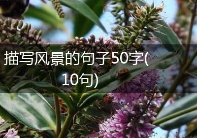 描写风景的句子50字(10句)