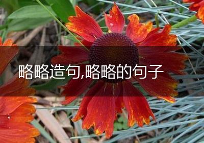 略略造句,略略的句子