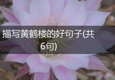 描写黄鹤楼的好句子(共6句)