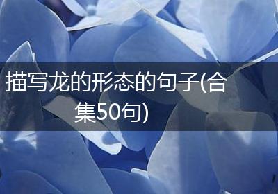 描写龙的形态的句子(合集50句)