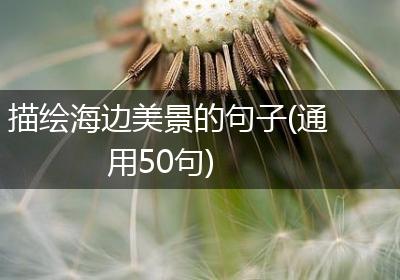 描绘海边美景的句子(通用50句)