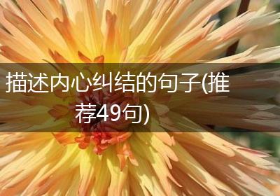 描述内心纠结的句子(推荐49句)