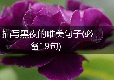 描写黑夜的唯美句子(必备19句)