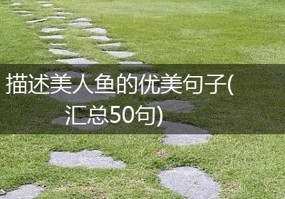描述美人鱼的优美句子(汇总50句)
