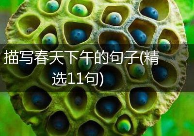 描写春天下午的句子(精选11句)