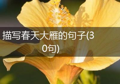 描写春天大雁的句子(30句)