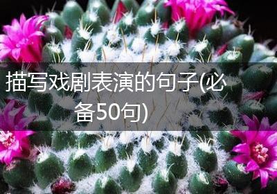 描写戏剧表演的句子(必备50句)