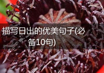 描写日出的优美句子(必备10句)