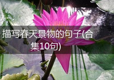 描写春天景物的句子(合集10句)