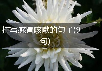 描写感冒咳嗽的句子(9句)