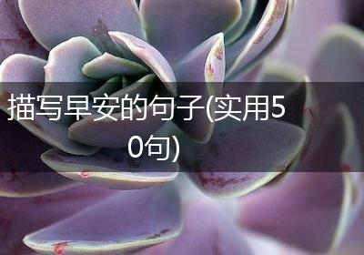 描写早安的句子(实用50句)