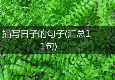 描写日子的句子(汇总11句)