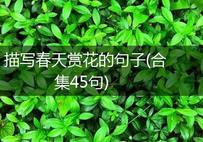 描写春天赏花的句子(合集45句)