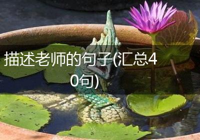 描述老师的句子(汇总40句)
