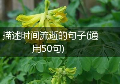 描述时间流逝的句子(通用50句)