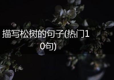 描写松树的句子(热门10句)