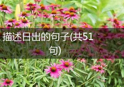 描述日出的句子(共51句)