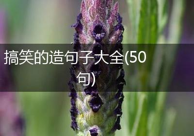 搞笑的造句子大全(50句)