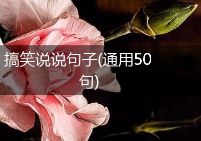 搞笑说说句子(通用50句)