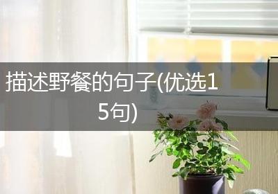 描述野餐的句子(优选15句)