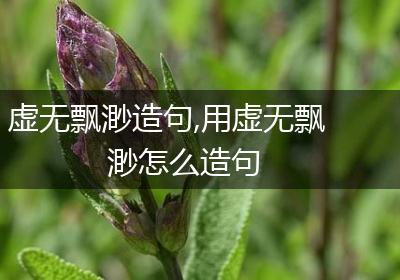 虚无飘渺造句,用虚无飘渺怎么造句