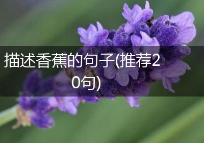 描述香蕉的句子(推荐20句)