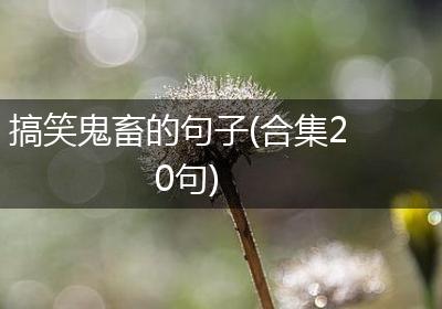 搞笑鬼畜的句子(合集20句)