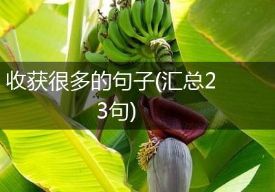 收获很多的句子(汇总23句)