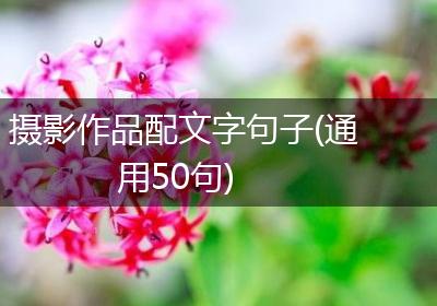 摄影作品配文字句子(通用50句)