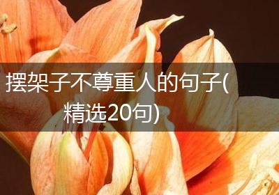 摆架子不尊重人的句子(精选20句)