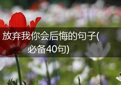 放弃我你会后悔的句子(必备40句)