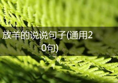 放羊的说说句子(通用20句)