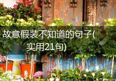 故意假装不知道的句子(实用21句)