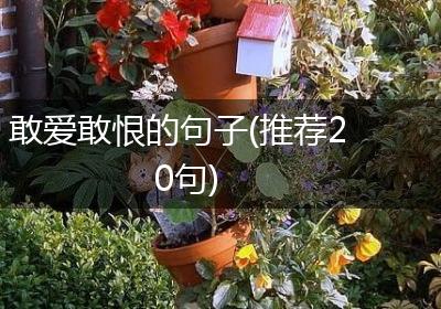 敢爱敢恨的句子(推荐20句)