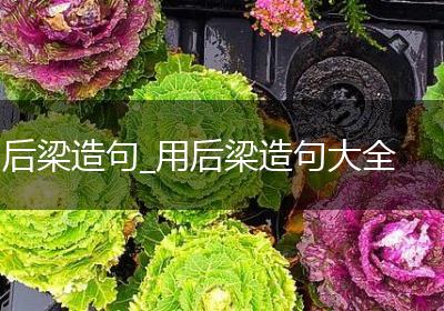 后梁造句_用后梁造句大全