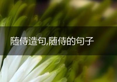 随侍造句,随侍的句子