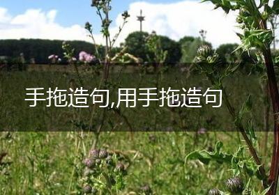 手拖造句,用手拖造句