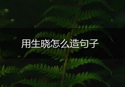 用生晓怎么造句子