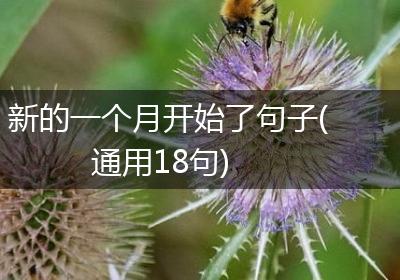 新的一个月开始了句子(通用18句)