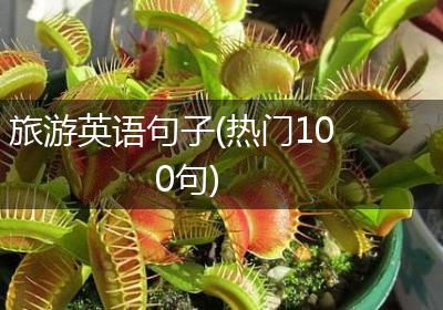旅游英语句子(热门100句)