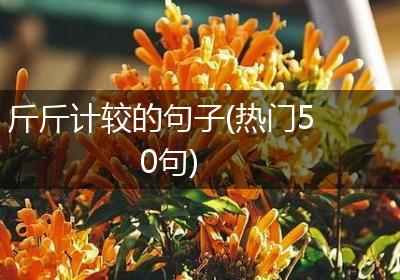 斤斤计较的句子(热门50句)