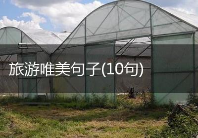 旅游唯美句子(10句)